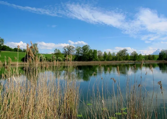 Seminarhotel Hotel 3*