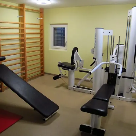 Seminarhotel מלון Gerzensee